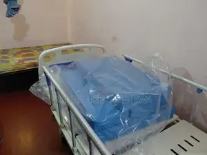 Hospital Bed with Air Mattress
