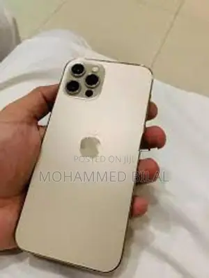 Apple iPhone 12 Pro Max (Used)