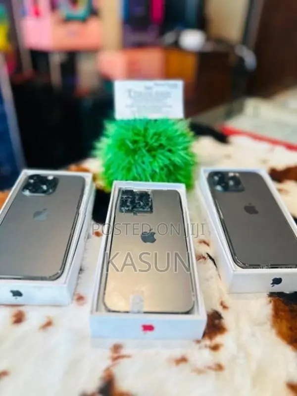 Apple iPhone 13 Pro (Used)