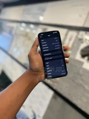 Apple iPhone 13 Pro Max 256GB (Used)