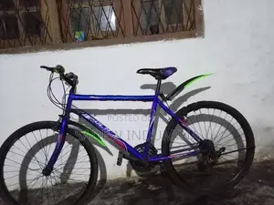 Lumala Mountain Bicycle Tyre size 26