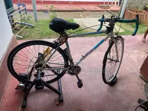 koren racing bicycle