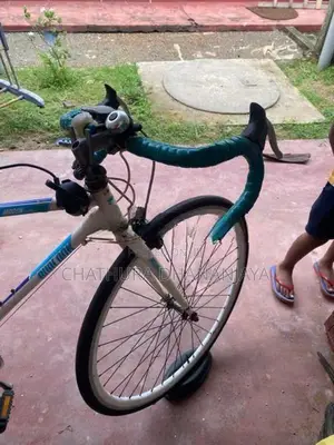 koren racing bicycle
