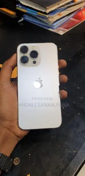 Apple iPhone 13 Pro 256gb (Used)