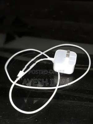 Apple Charger