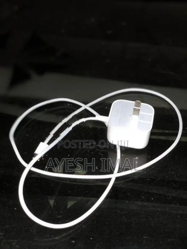 Apple Charger