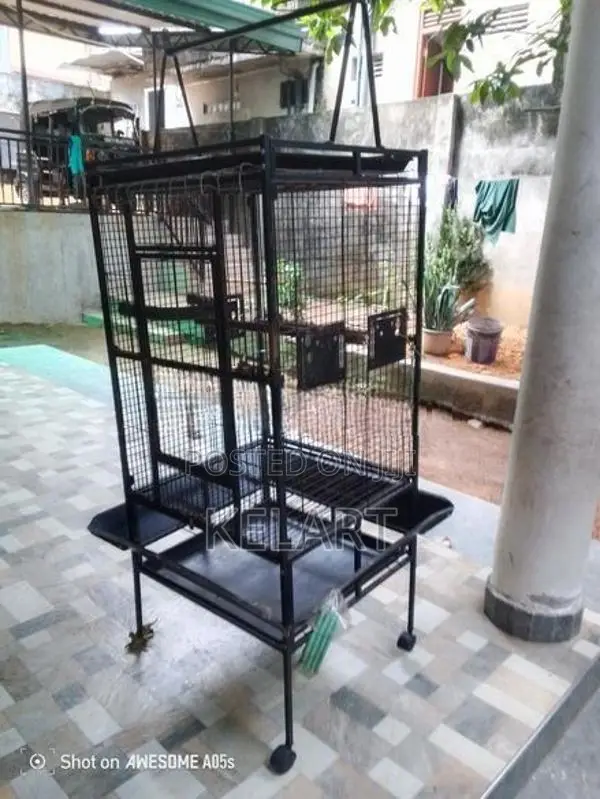කුරුලු කූඩුව
