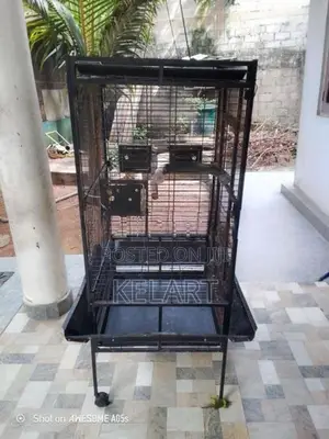 කුරුලු කූඩුව