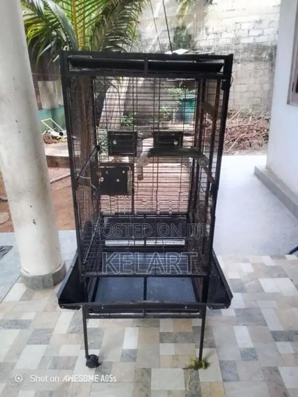 කුරුලු කූඩුව