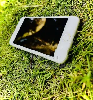 Apple iPhone 7 (Used)