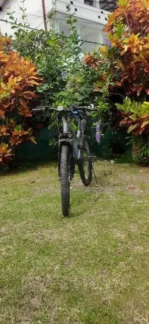 Lumstar Bicycle