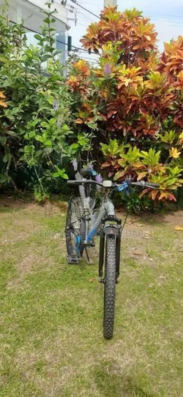 Lumstar Bicycle