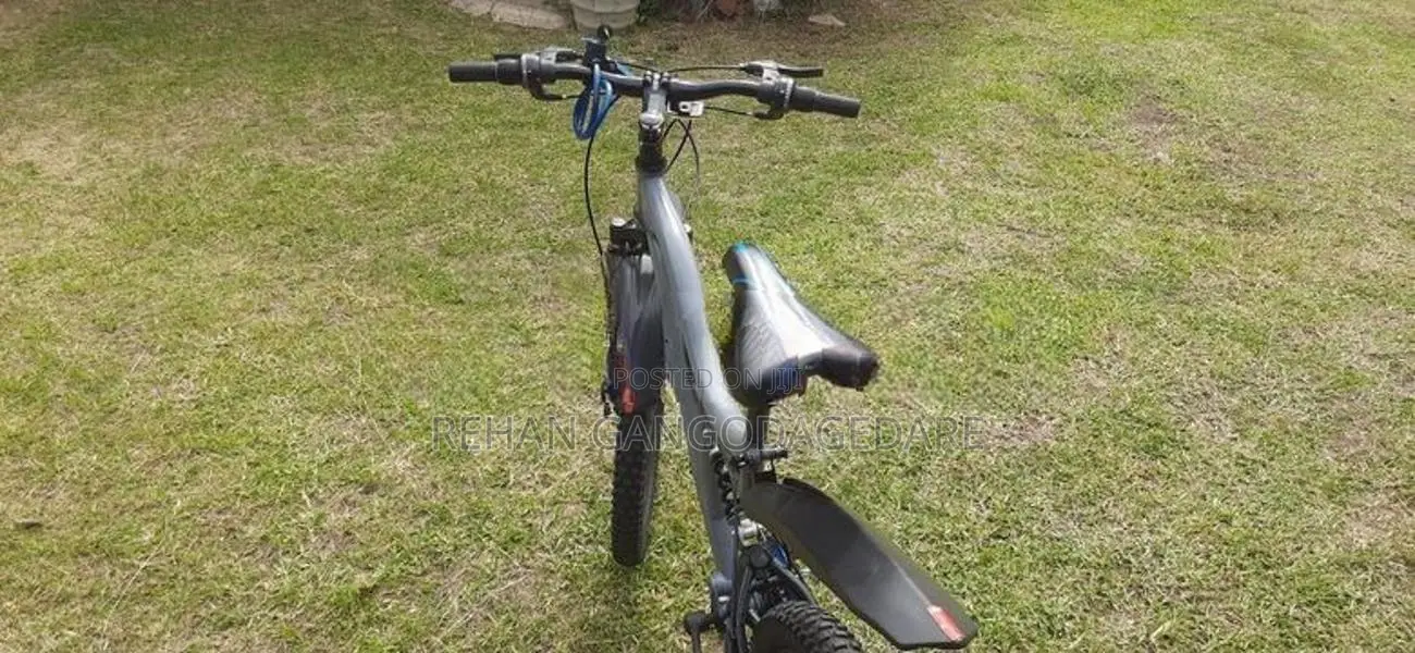 Lumstar Bicycle