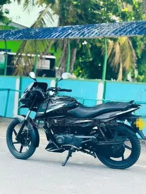 Bajaj Pulsar 150 2019