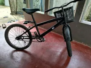 Mountain Bicycle