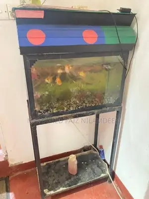 Fish Tank with Stand Full Set
