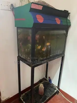Fish Tank with Stand Full Set