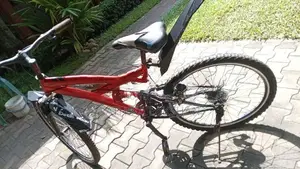 Lumala bicycle