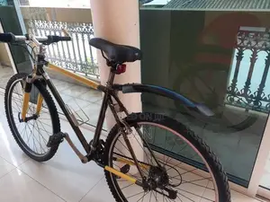 Japan Bicycle