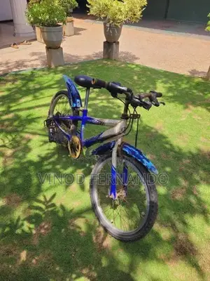 Mountain Bicycle