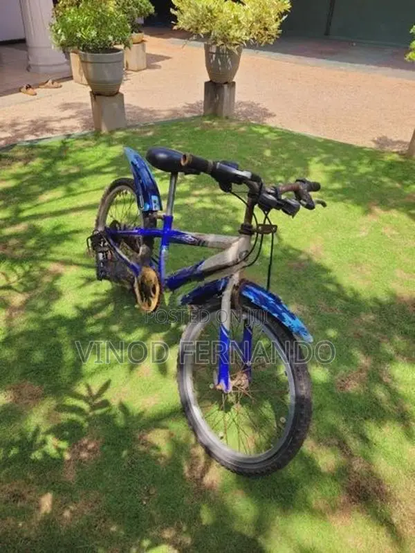 Mountain Bicycle