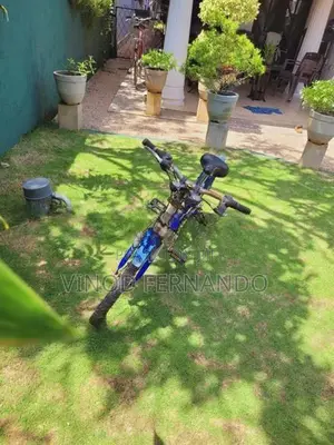 Mountain Bicycle