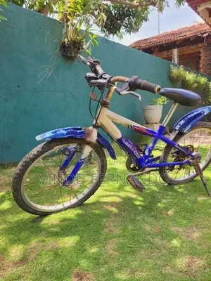 Mountain Bicycle