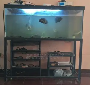 Fish Tank