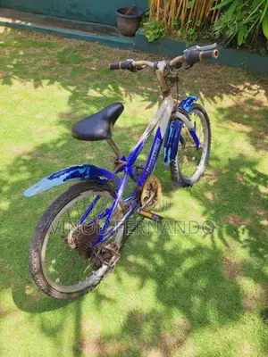 Mountain Bicycle
