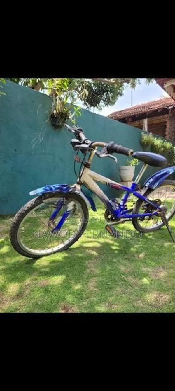 Birdgestone bicycle