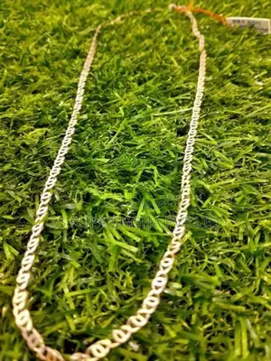 Silver Chain