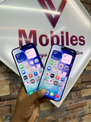 Apple iPhone 15 Pro Max 256GB (Used)