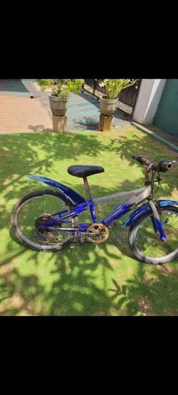 Birdgestone bicycle