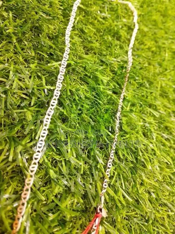 Silver Chain