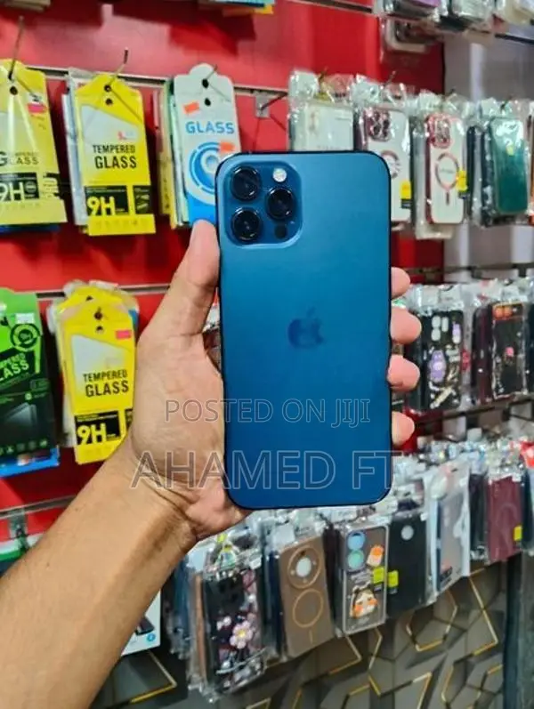 Apple iPhone 12 Pro Max 256GB (Used)