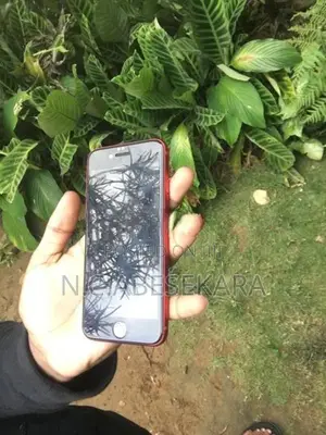 Apple iPhone SE 2 (Used)