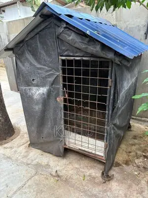 Dog Cage