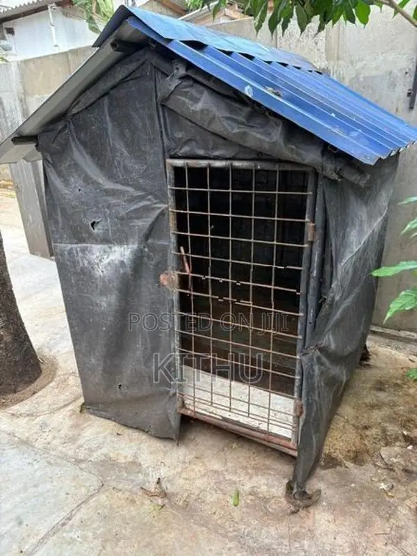 Dog Cage