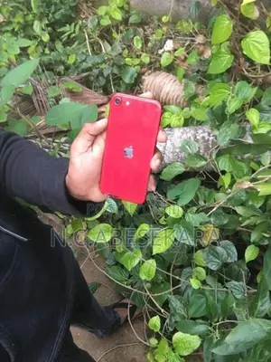 Apple iPhone SE 2 (Used)
