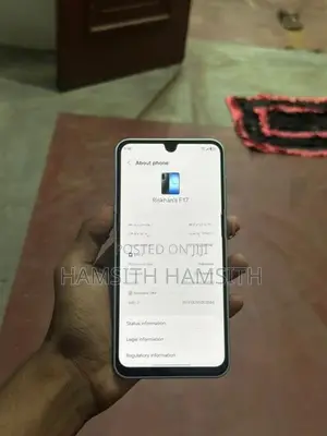 Samsung Galaxy F17 (Used)