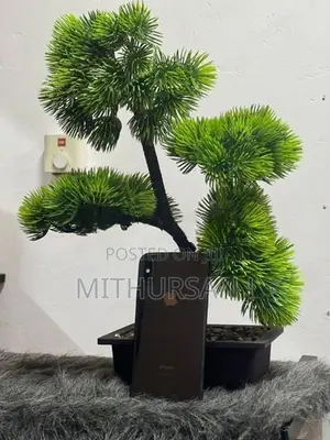 Apple iPhone X (Used)