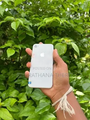 Apple iPhone XR (Used)