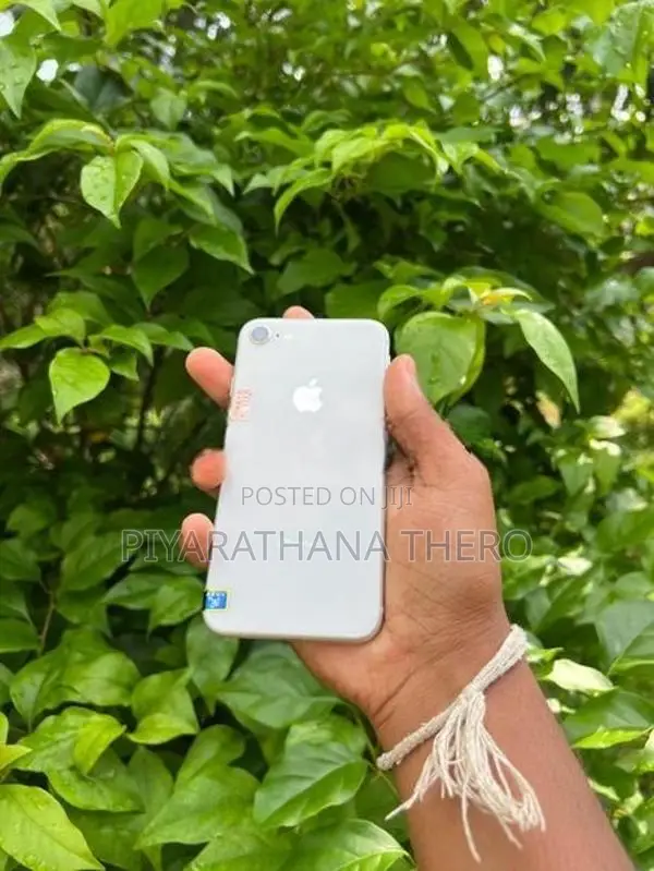 Apple iPhone XR (Used)