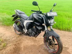 Yamaha FZs V2 2018