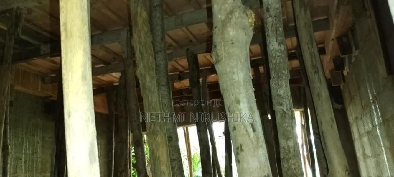 සැටලිම
