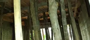 සැටලිම