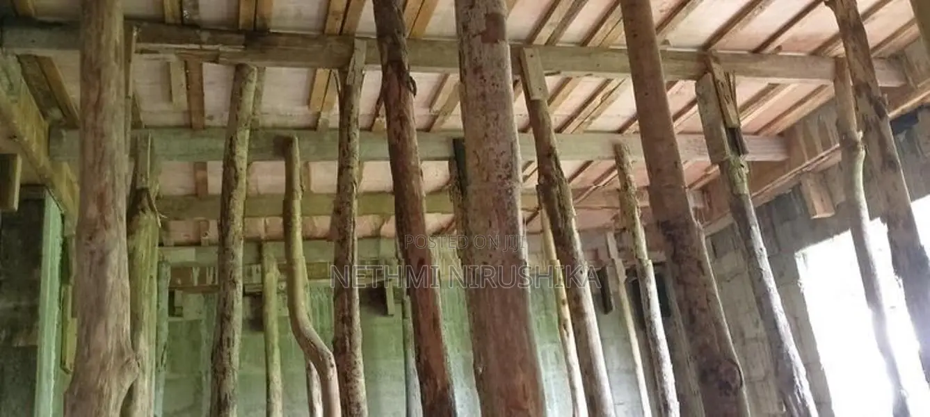 සැටලිම