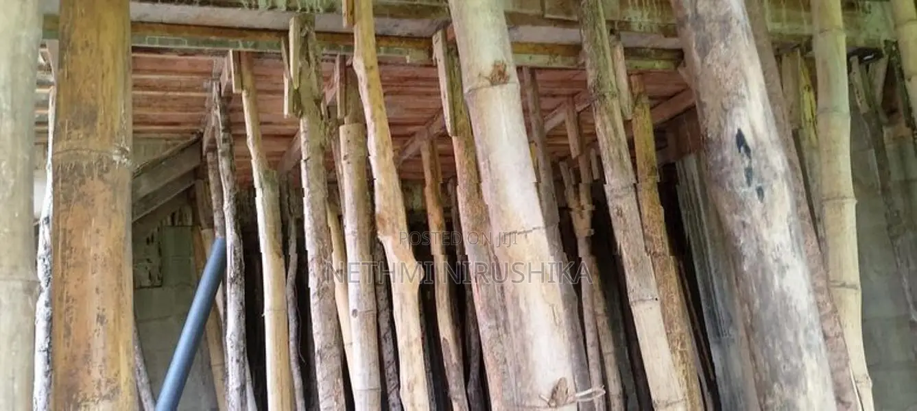 සැටලිම