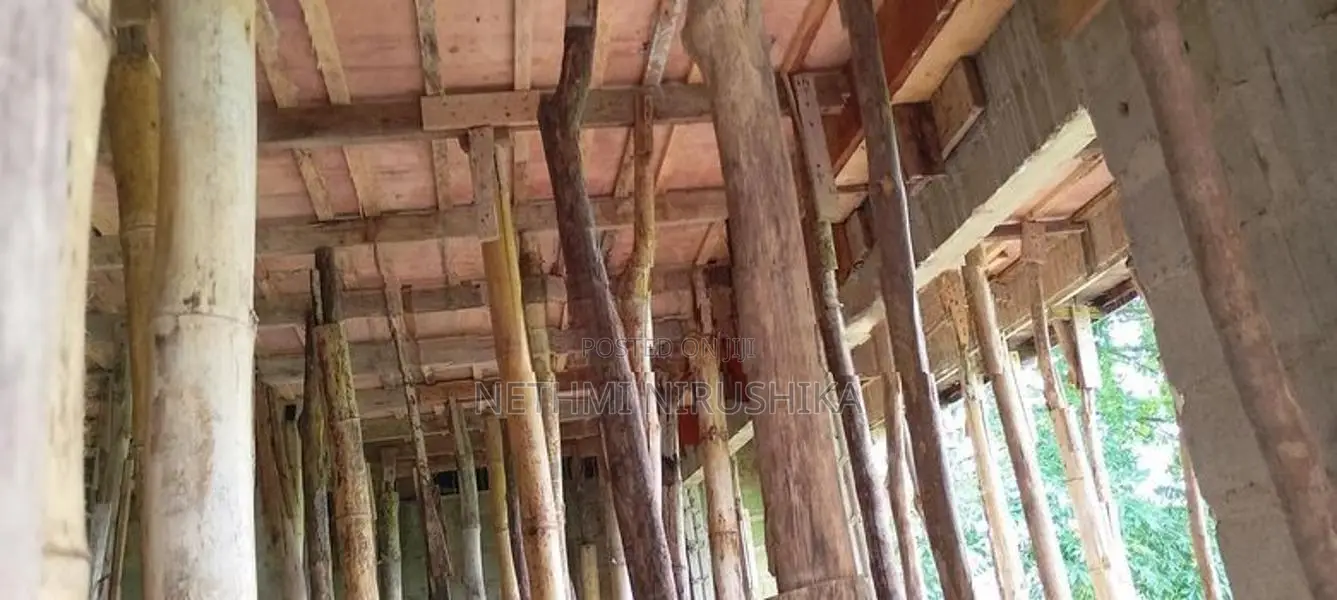 සැටලිම