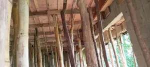 සැටලිම